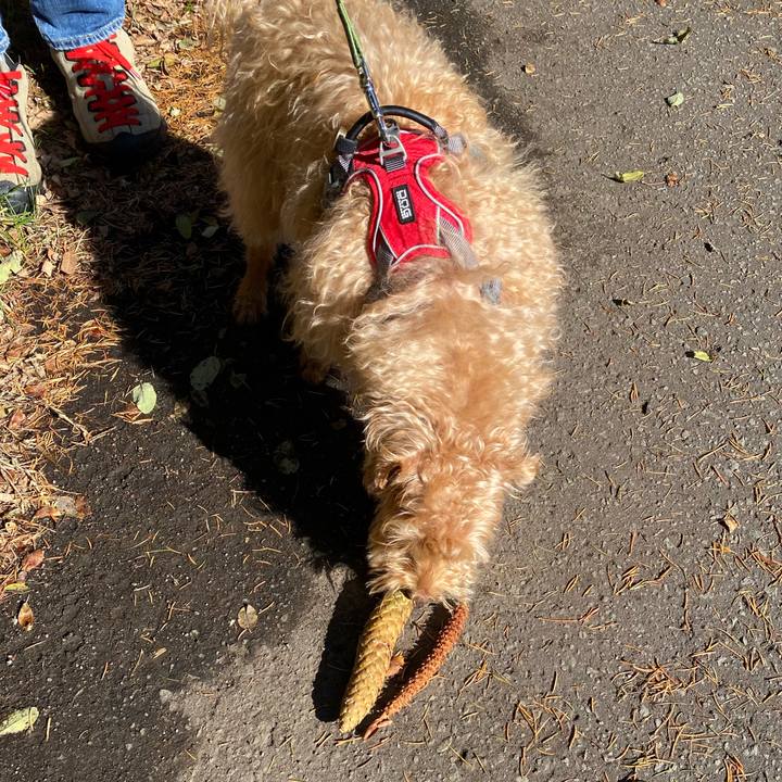 52c830ae 37f2 4750 9410 6a5df0a96880 1667179636028