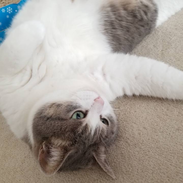 52c83fa2 fbef 47b9 830c 7911c2ad0c97 1659539061617