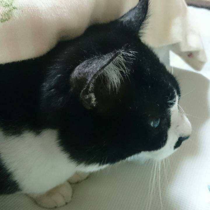 52c84605 b159 4609 a95b 8d7ac457aa8f 1516074511698