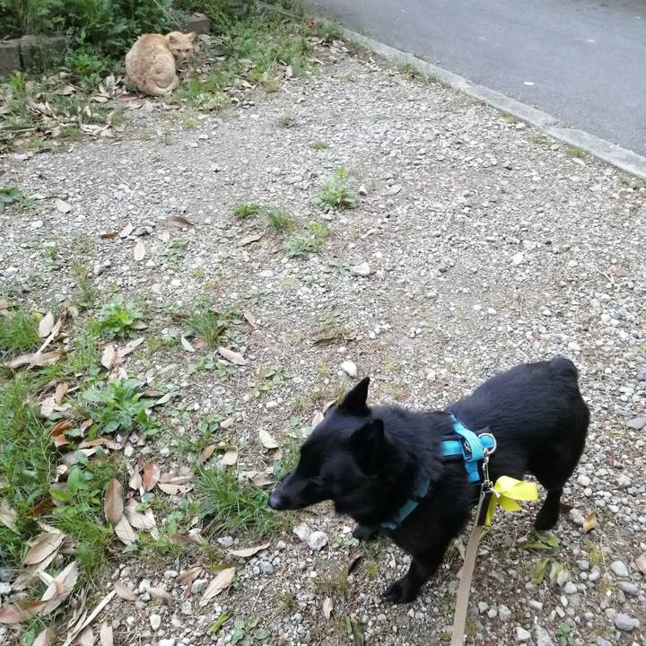 52c8570c d0b3 4563 9a87 1b8c3c5e5981 1650316131527