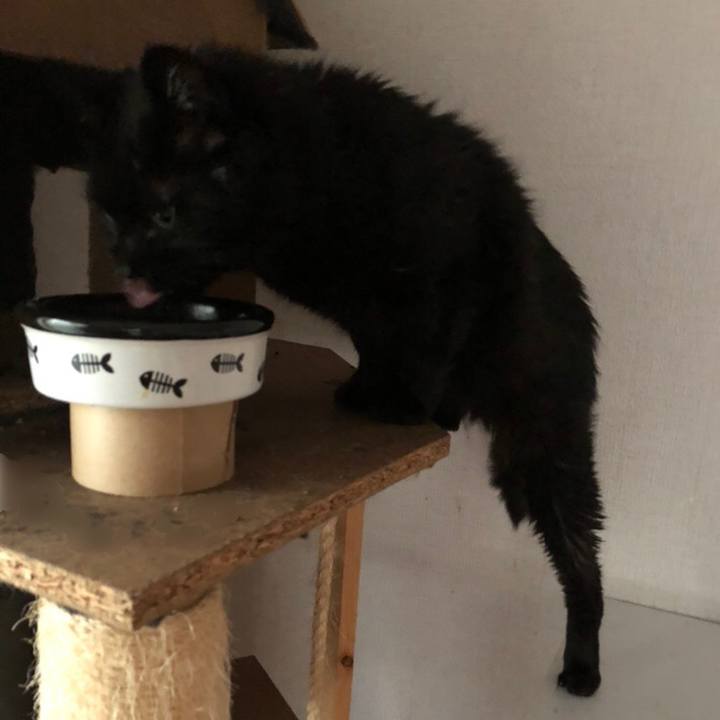 52c85712 4009 4f69 9ba7 f62f4b65c01e 1627589497010