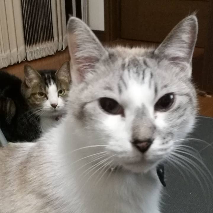 52c85a77 1f1d 4e0b 95c5 3a472a1f2e40 1526210773974