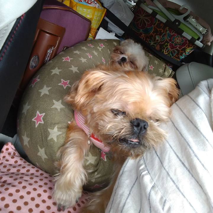 52c8a5a0 8037 4f5c a6f1 4fff850b6c2c 1600479083502