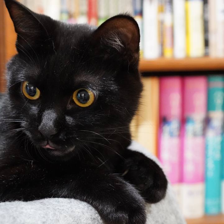 52c8c277 1c5b 4244 b6b3 5ad4db921d3a 1566948204356