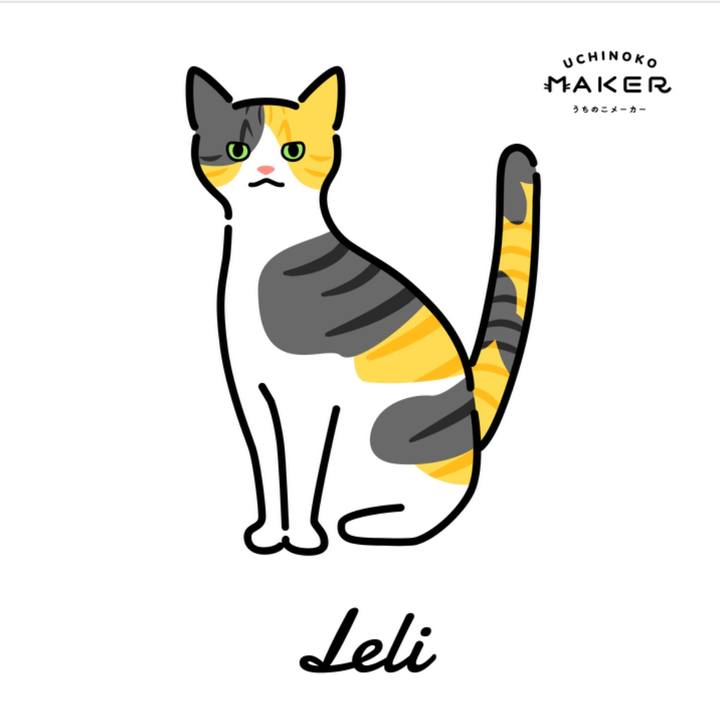 52c8ca76 2401 437a b3ae 8789c3df983c 1661013643764