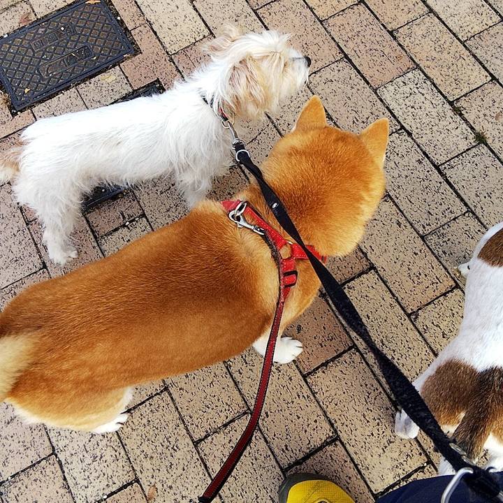 52c8ee5d 04f4 4cc5 80bd 11bc1caa8611 1574567412454