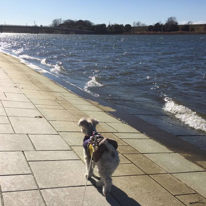 52c90d27 c351 4c28 815d d199abf6bc82 1514789952686