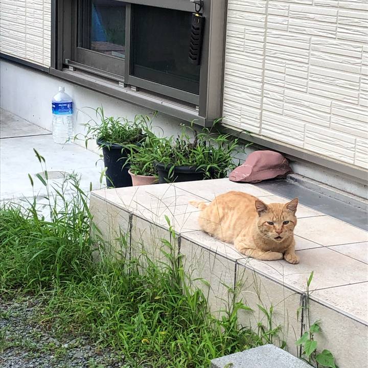 52c920f8 d216 4726 bd44 2e33a05a77ae 1564850925098