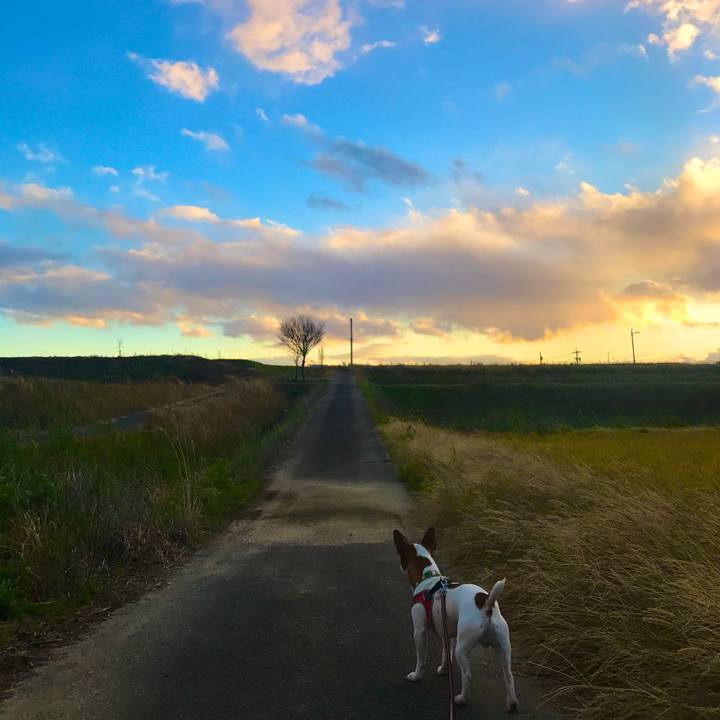 52c92de0 223c 439c 9cc6 63e788677a46 1511428306202