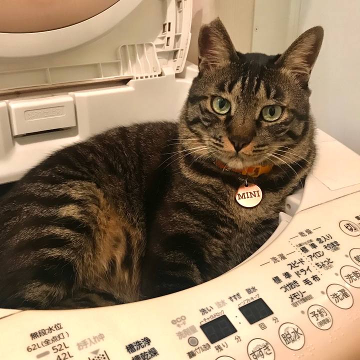 52c96b13 74d4 4ce2 a4a3 3ecb35b1ddae 1591195422430