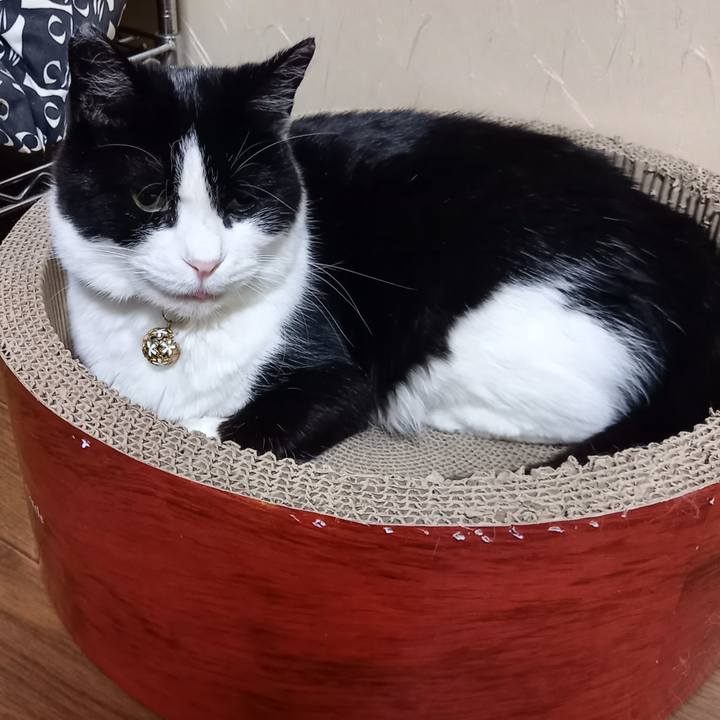 52c97efe f475 4064 9c52 a06c50fe1e57 1624961265168