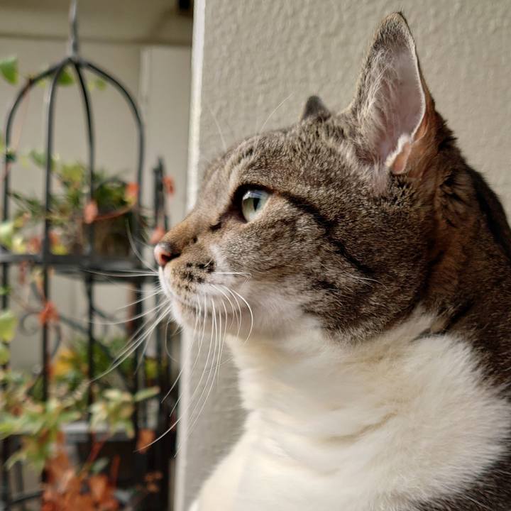 52c982e2 139e 43b0 98c0 510e99886550 1665271504710