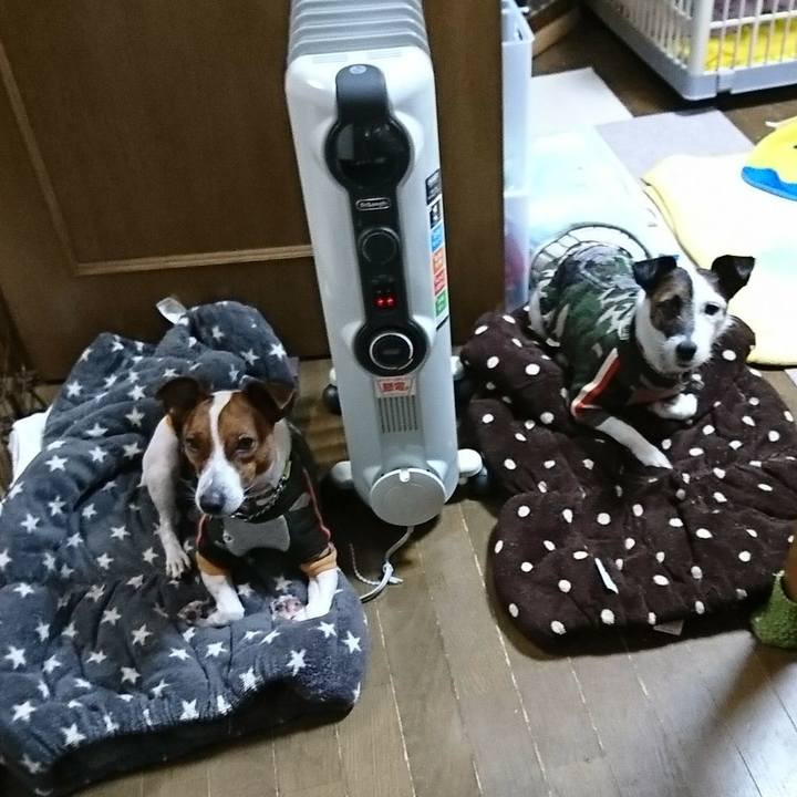 52c9a680 8209 4d08 8b68 6519cc6956e0 1581423821547