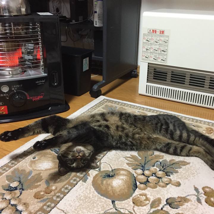 52c9b36d d5ca 4f24 9aaf 04d0088829ff 1509810181755