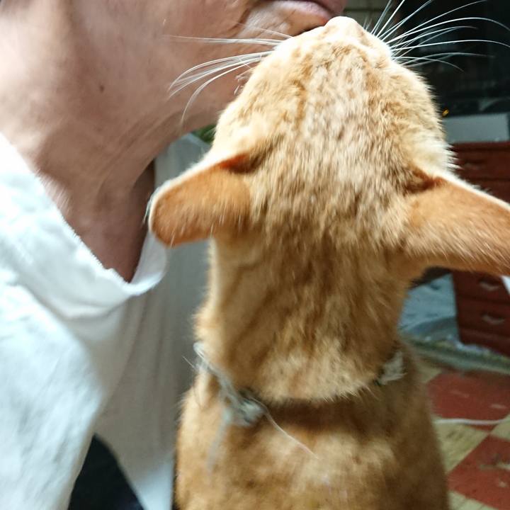 52c9bed2 978d 4df6 9780 03cb8b430318 1596830960291