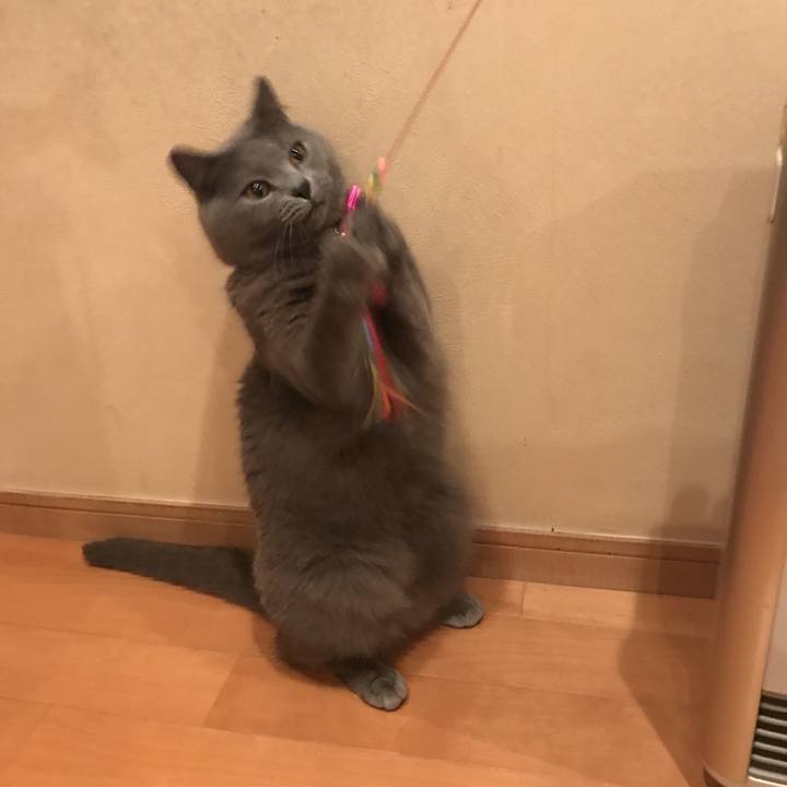 52c9f770 add2 4fd1 b36c 98a5f67f657b 1625106577913