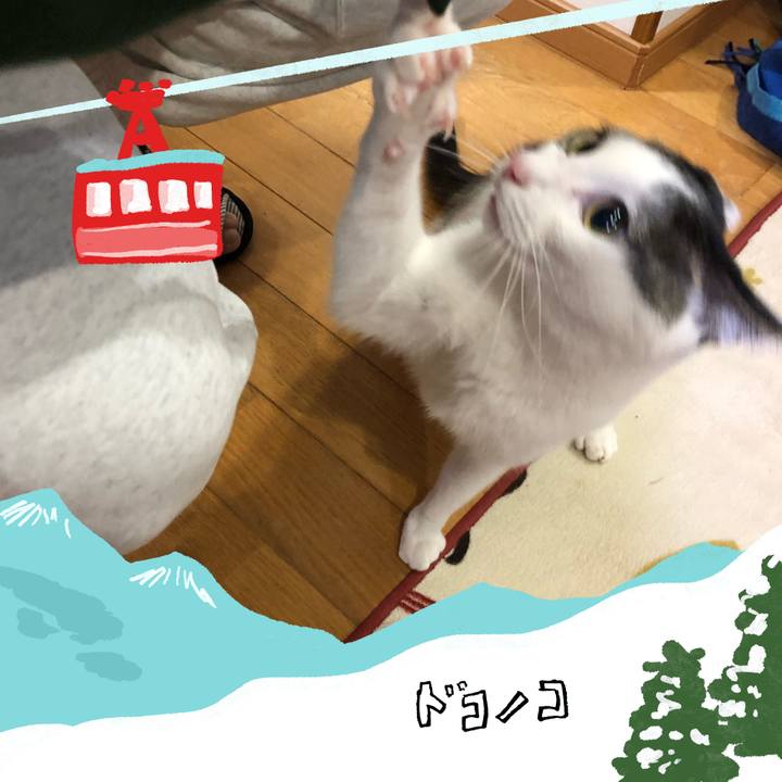 52ca3ad9 6796 4ad4 967c 6010c82584ef 1707136483000