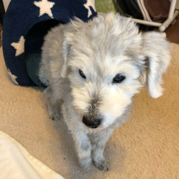 52ca59da fa02 4949 ae8b 60b55ee9f717 1641337700426