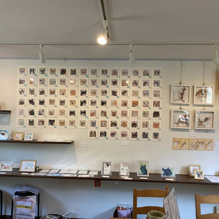 52ca5ae3 2e6e 4704 bc77 f0a720428f62 1747104755635