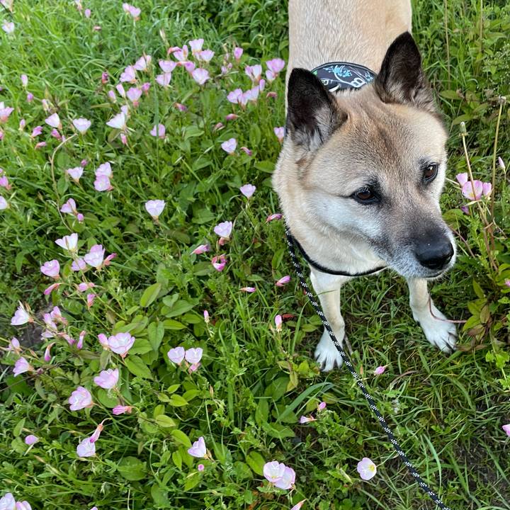 52ca9a30 51a5 4e8b 9da4 b62a0348125e 1715691253653