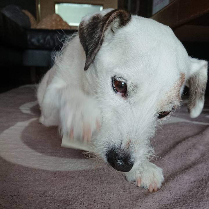 52cac449 0963 4043 a247 4d8b64a06aa0 1523748097062