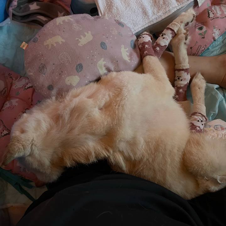 52cadb79 c7b5 40b2 b2d2 85b72dc16737 1686217792725