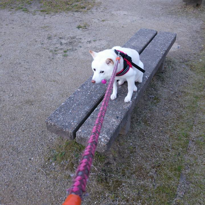 52caf005 fcf3 4dc0 8ed4 11595a318f9e 1555580165630