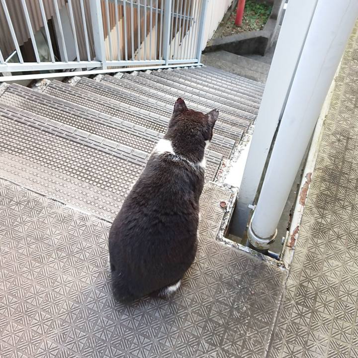 52cafb76 ca6e 4fce 9c5d 8d7b7b0c0b12 1601679295970