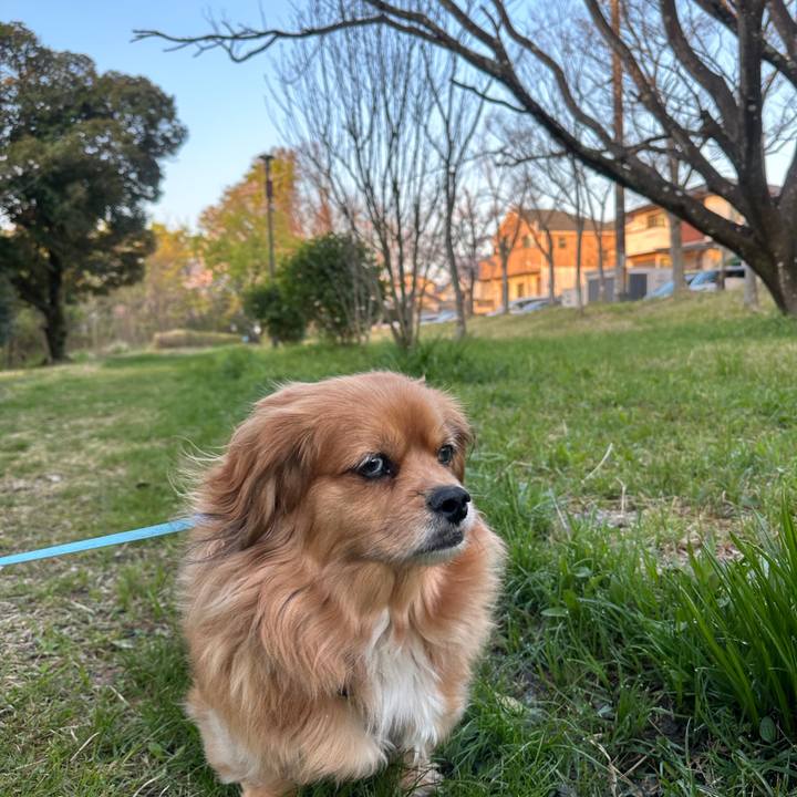 52cb0d83 8b65 4cc2 bb08 2f3472ecc48d 1680299268560