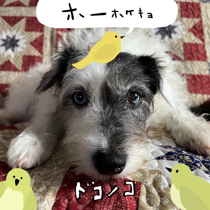 52cb2e98 113c 46ed 8417 a79bcf416acd 1711145020085