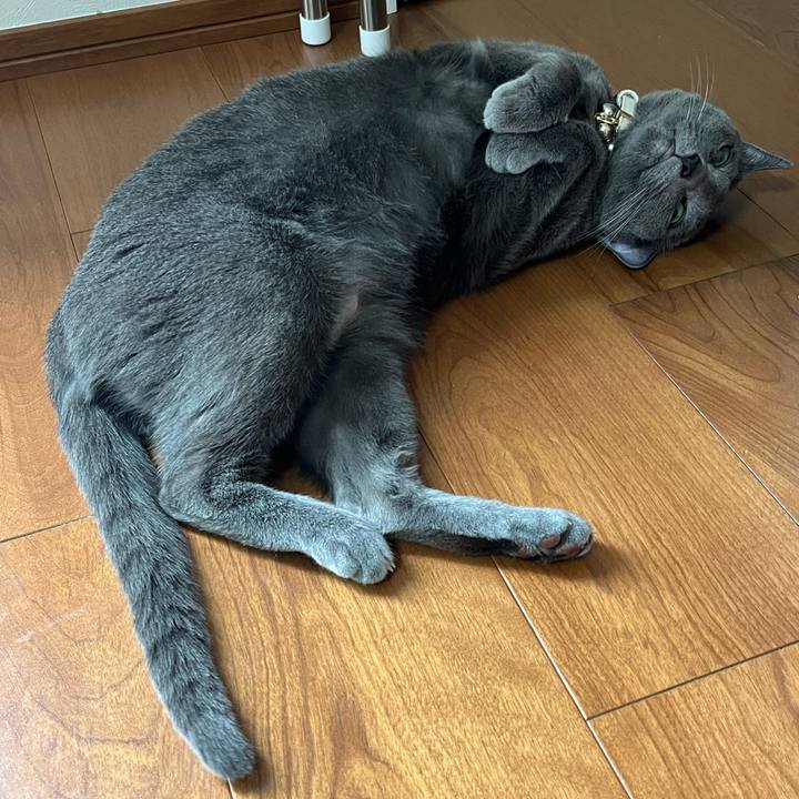 52cb95e8 9522 45ea bad0 f043936f9421 1716440470329