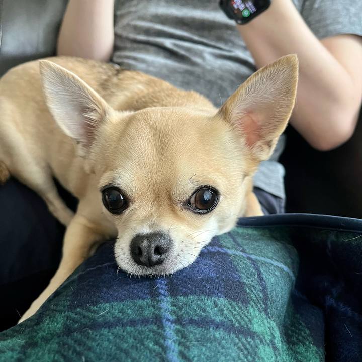 52cbede9 eae0 4fc8 8eba 16b2ada3ec56 1652827635068