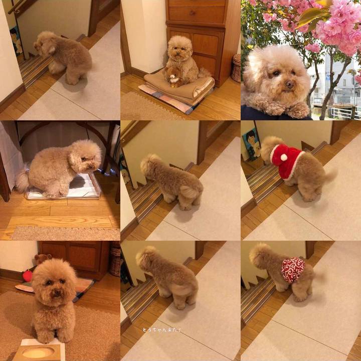 52cc06f1 0ae3 46df b2fb 49bf056090fb 1546172465003