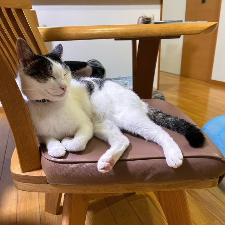 52cc1df4 7bc7 4c29 96ac 0ab3f22851d6 1720611788587