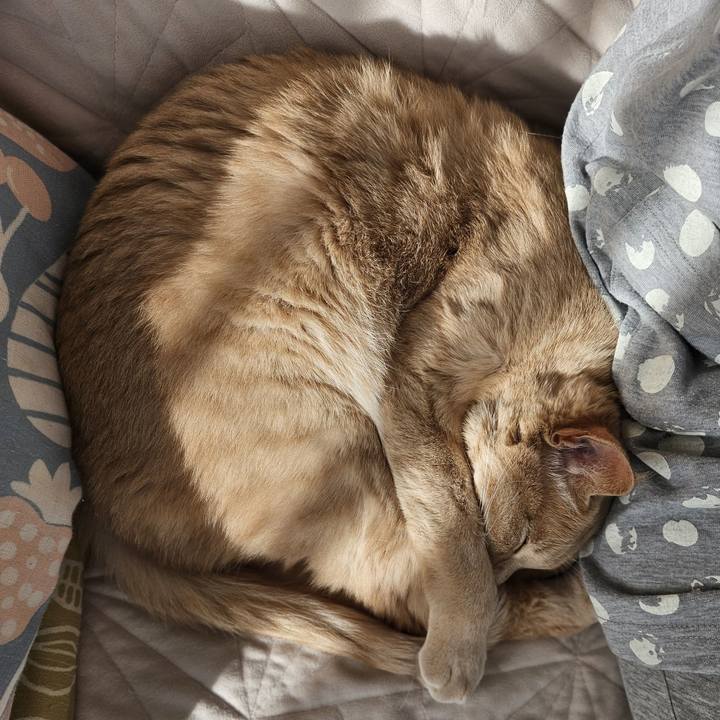 52cc57a7 9fa3 4169 88b1 0b44a89cb4d7 1702781962486