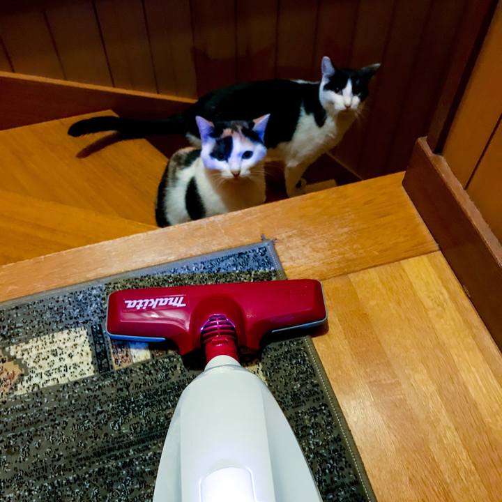 52ccb3aa a1b1 48c9 92c2 d7eb0eb3be45 1509855928204