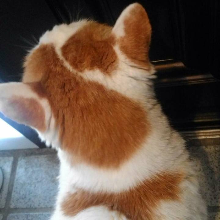 52cd140d 53b7 4cf5 b4e5 47ed5b126826 1541683376794