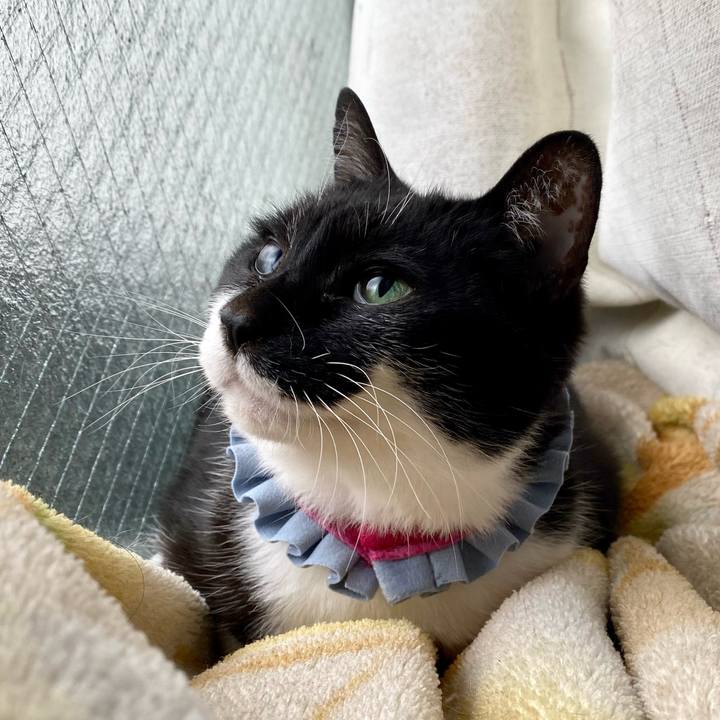 52cde194 c4d6 48ad a9aa a38765f56ebb 1736650362306