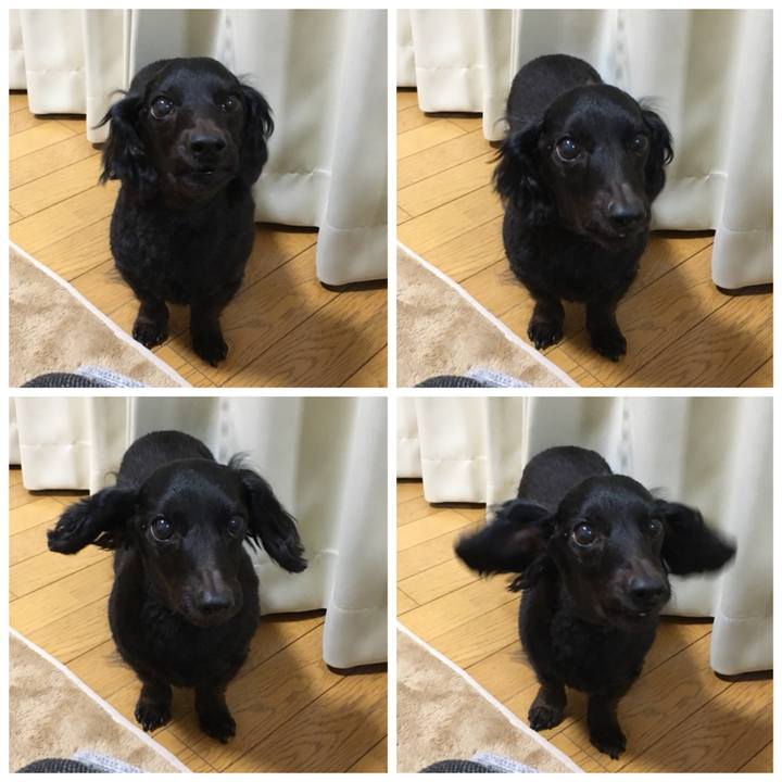 52ce1992 0160 4a59 bf61 8be542c573c4 1520632579930