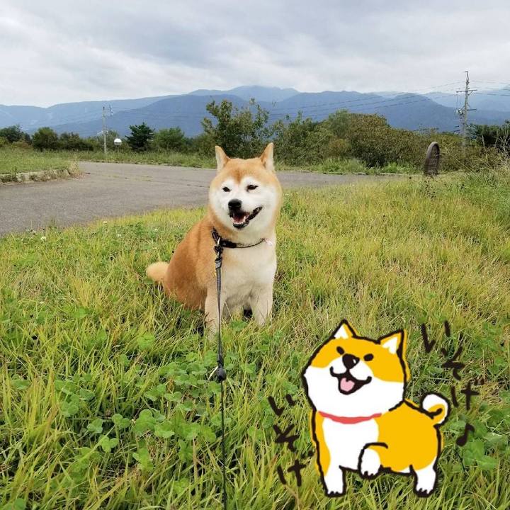 52ce2c53 39b9 4637 bd98 3ac2841671c7 1601362329189