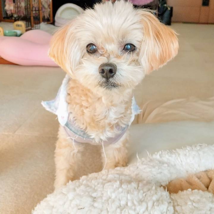 52ce459d 924c 4afe 8593 2ef16993e2ef 1573259658172