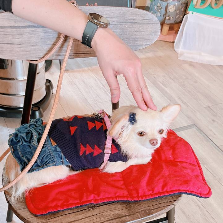 52ce4d68 8c04 4e96 b5cd c683820e2632 1669285944248