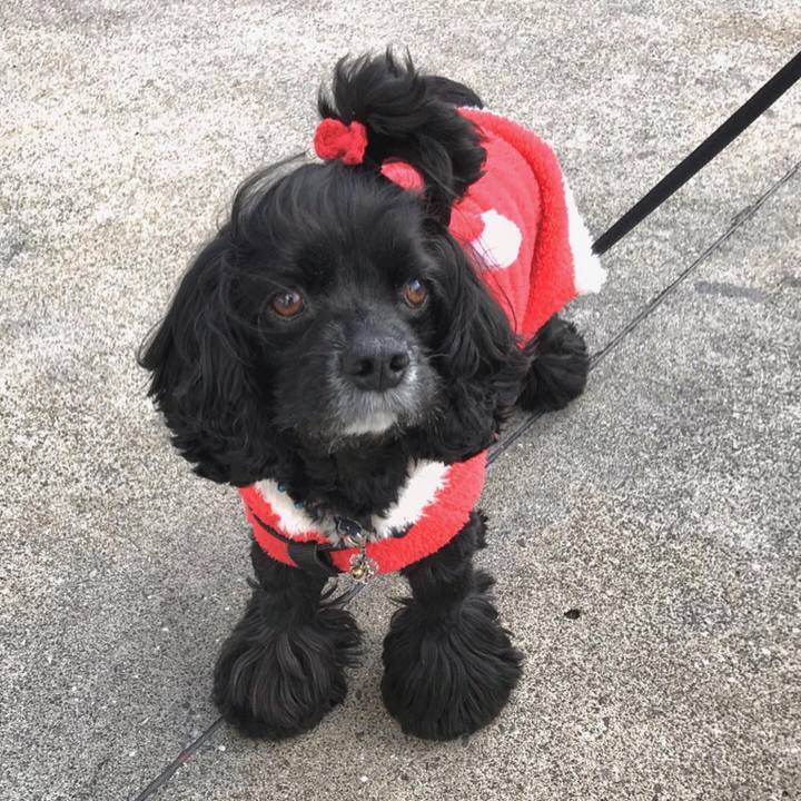 52cea74d 47ee 4af6 af0e 28e6e504ef81 1577163278121