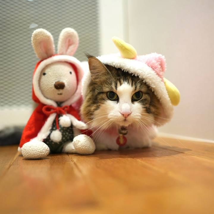 52ceaf93 ca6b 4a0c 92e5 87e930f352cc 1703416704330