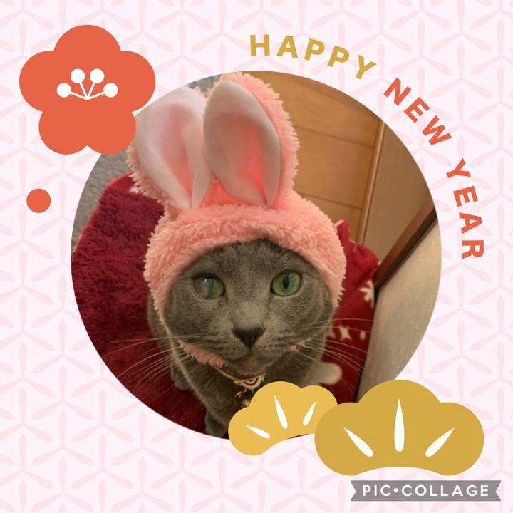 52cef914 dc63 4c20 9c3b cbc4aa00ba2d 1672527773177