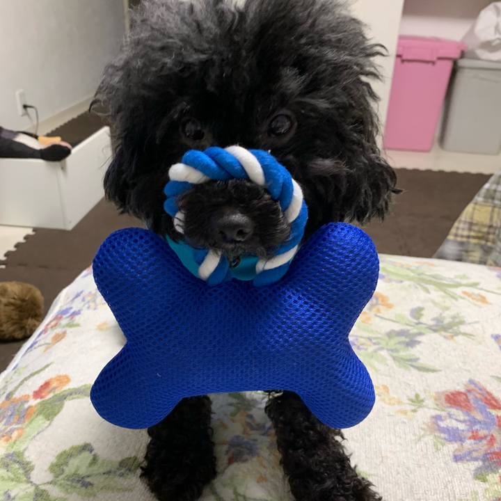 52cf11a2 df3f 4cf7 9544 2a22ce8edab9 1568030305761