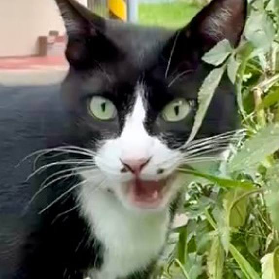 52cf47c3 9ac6 4e91 ad1f 2c6139742f8d 1755918033355