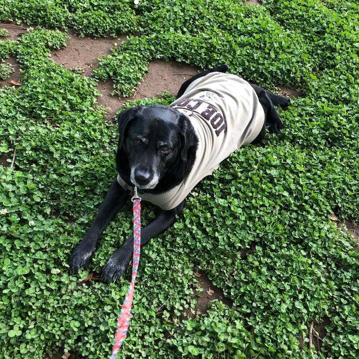 52cf497d d951 450c 94fc 1c8014daab39 1618470313588