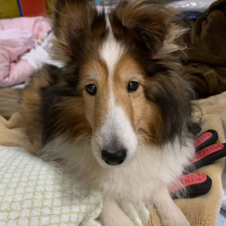 52cf6119 9111 4d63 bb0c 437a12beed13 1733556796222