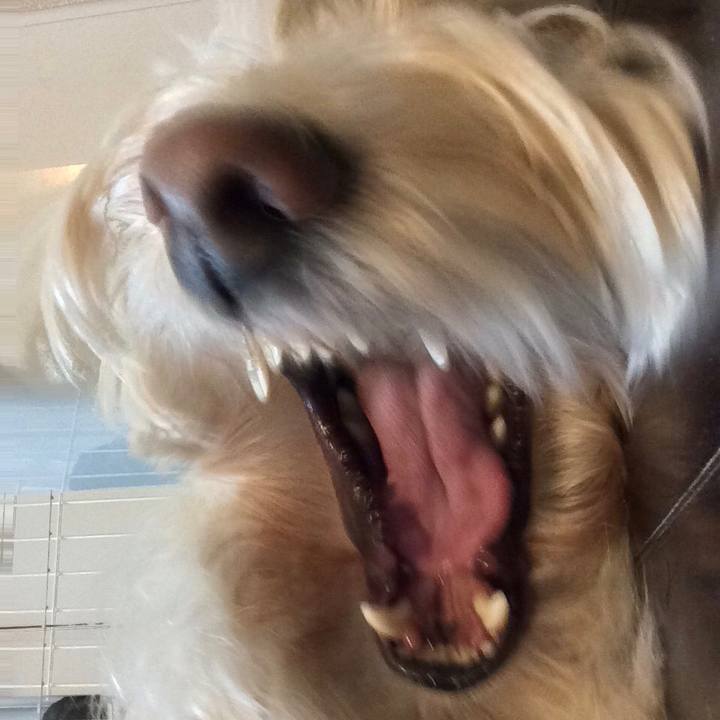 52cf7b9c 85d8 408a a1d0 869438bfc127 1513948888469